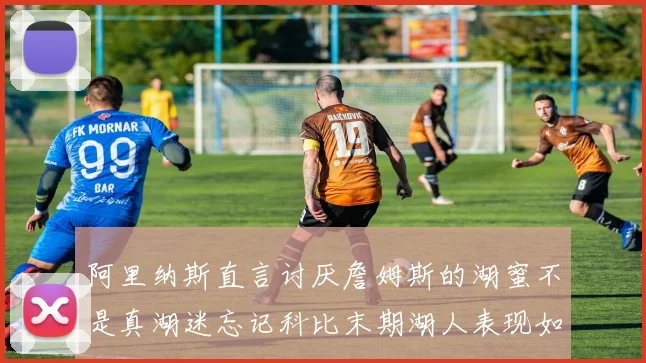 阿里纳斯直言讨厌詹姆斯的湖蜜不是真湖迷忘记科比末期湖人表现如何惨淡